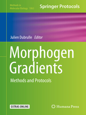 cover image of Morphogen Gradients